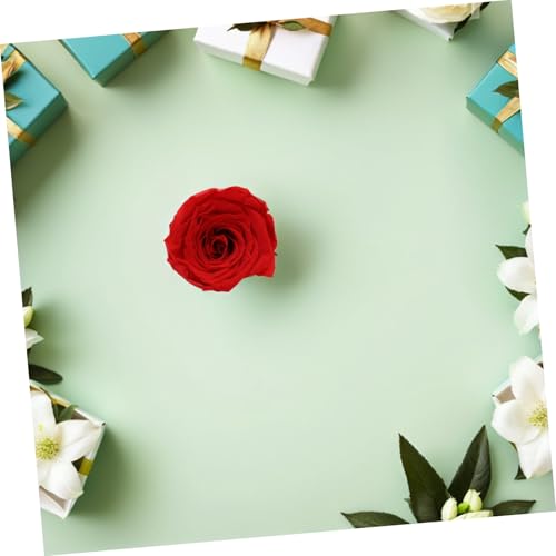 Ramo de rosas preservadas rojas de 12 piezas para festivales y cumpleaños inolvidables 8