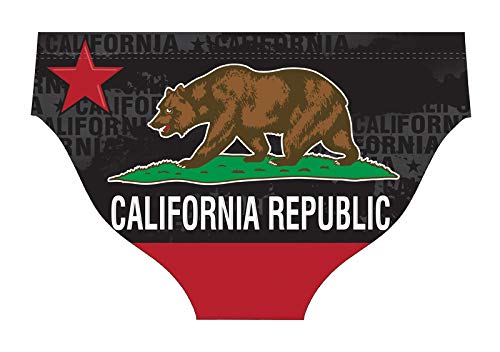 Delfina Fun Suit Men’s Swim Briefs for Water Polo, Cali Bear2