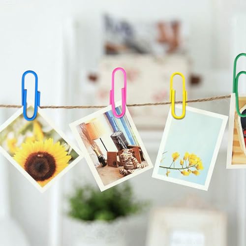 250 Stück Büroklammern Bunt, 28mm Mehrfarbig Büroklammern Aktenklammern Büromaterial,Bürobedarf Beschichtete Büroklammern für Büro, Schule und Persönlichen Gebrauch(28mm Bunt)