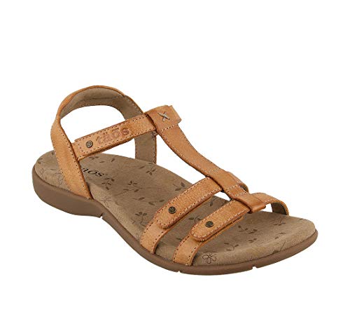 Taos Footwear Women s Trophy 2 Honey Sandal 6 M US