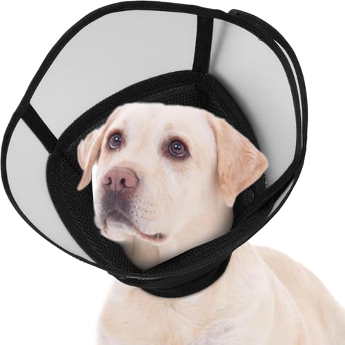 LETSQK \tghbOR[  ߉\ GUxXJ[ ^ ^ p̏r ݖh~ ~h~ ubN L