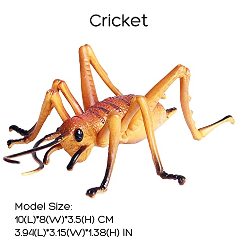 Flormoon Realistic Animal Figures Cricket Figurines Insect Toy, Science Project, Cake Topper, Early Educational Toys Birthday For Toddlers Kids Age 3 4 5 #TOP1