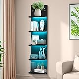 Black 5 Tier Display Shelf Case with Lights LED Wall Mount Vertical Lack Shelf Wall Decor RGB Lighting for Bedroom Living Room Gaming Floating Shelves Supports USB