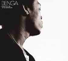 Benga Diary of an Afro Warrior レコード 41d03D5-xNL._SY200_QL15_.jpg