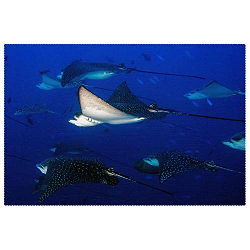 Set de table de salle à manger Eagle Ray Manta lavable et durable - 2