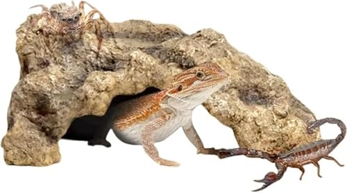 SLLS T  VF^[ T̕  gJQ ޗpi T VF^[ B ঒ރVF^[  VF^[ (L:28*11.5*6cm,A)