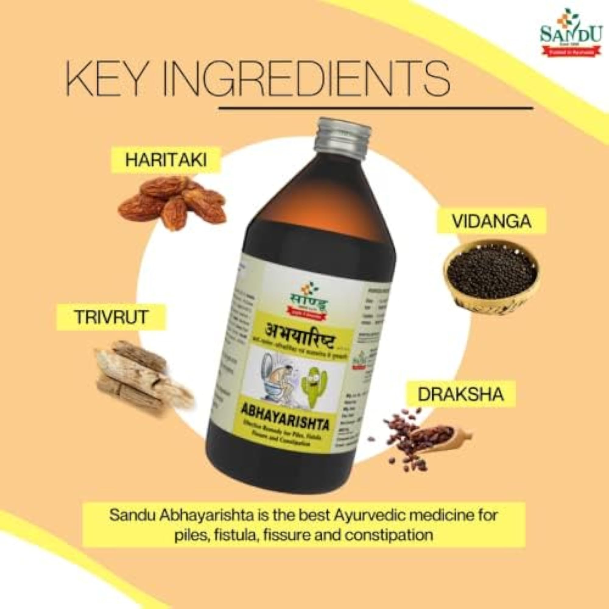 Sandu Abhayarishta 450 ml