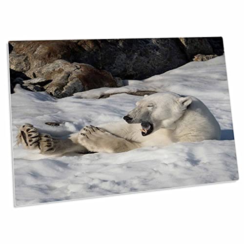 Alfombrilla para escritorio con oso polar 3dRose