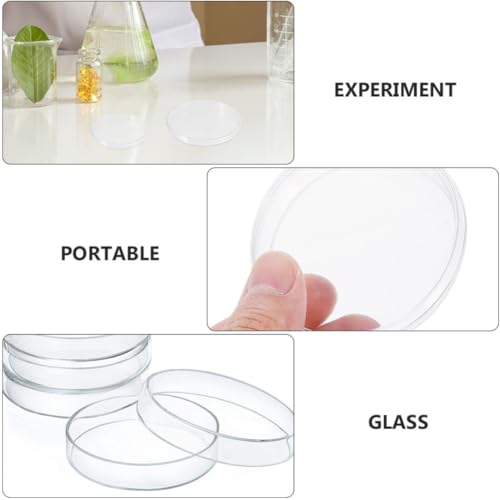 Boîtes de pétri verre borosilicaté transparent sans déformation - 7
