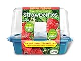 DELICIOUS STRAWBERRIES: Enjoy the luxury of everbearing strawberry plants offering continuous harvests. Our kit ensures you relish delectable fruit regardless of the season, eliminating reliance on store-bought options. Bring vibrant flavor and nutri...