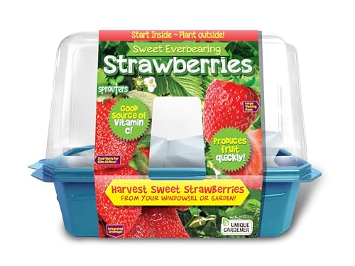 Unique Gardener Grow Your Own Strawberries Kit, Everbearing Sweet and