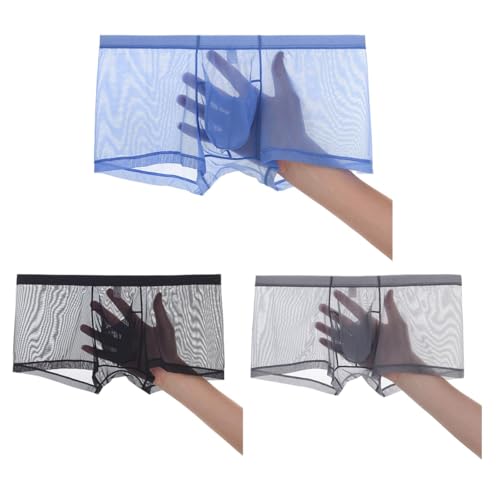 Mens Sexy See Through Underwear Ice Silk Mesh Boxer Briefs Breathable Bulge Pouch