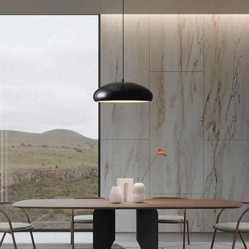 Lámpara de techo de metal duradera E27 para iluminar un comedor oscuro 3