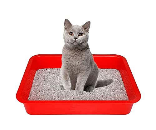 See full amazon price history chart for BLISSBORN Cat Litter Tray, Dog Potty Tray, Puppy Pee Pad Holder // Large Capacity Easy Clean Toilet Boxes // Cat, Dog, Rabbit Pet Toilet Litter - L - 36.5* W - 26* H -7.5 // 1 pcs ( Colour Many Vary ) BLISSBORN Cat Litter Tray, Dog Potty Tray, Puppy Pee Pad Holder // Large Capacity Easy Clean Toilet Boxes // Cat, Dog, Rabbit Pet Toilet Litter - L - 36.5* W - 26* H -7.5 // 1 pcs ( Colour Many Vary ) (B0BTDJKP91) Amazon Price History, Amazon Price Tracker