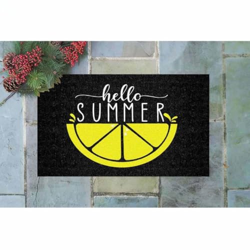 ���փ}�b�g ����ɂ��͉Ẵt���[�c�M�t�g�z�[���f�R���[�V�����ʔ��� 50×80cm doormat Hello Summer Fruit Gift Home Decor Funny