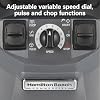 Hamilton Beach Commercial HBF510S Expeditor Stainless-Steel Culinary Food Blender, 2.4 Horsepower, 64 Ounce Capacity, Variable Speed, Chop Function, NSF Certified