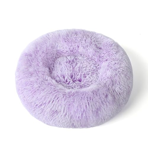 [ADSNS] ybgxbh xbh ybgNbV ybg}bg ybg\t@ Eh^ ی^ h[icybgxbh 薰 80 ӂӂ  J[35 g ~ h 5TCYI 􂦂 ӂ