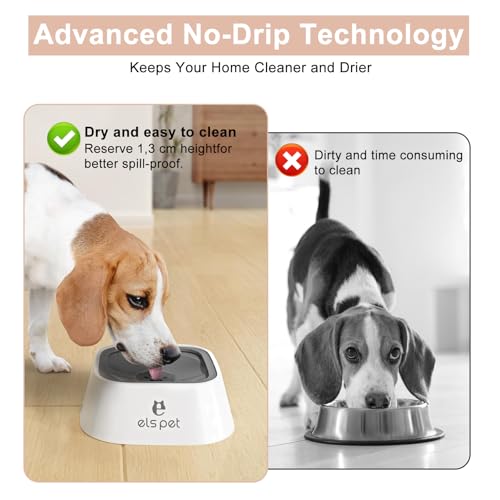 Wassernapf für Hunde und Katzen, 1L, Anti-Schwapp & Anti-Schlabber Design, Auslaufsicher, Reise Trinknapf für Unterwegs, Weiß mit Doppelte Schwimmende Platte, Kein Verschütten, Hygienisch & Praktisch