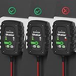 ERAYAK Savior 1, 1-Amp Fully-Automatic Smart Charger and Maintainer, 6V and 12V Battery Charger, Trickle Charger and…