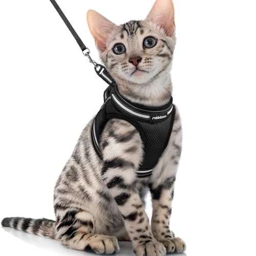 rabbitgoo Harnais Chat avec Laisse, Harnais Chaton Respirant et Bande Réfléchissante Gilet Réglable Petit Chien Collier Facile à Mettre pour Persan Ragdoll American Shorthair Chiot Lapin XL Noir