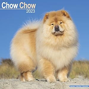 Chow Chow 2023 – 16-Monatskalender: Original Avonside-Kalender [Mehrsprachig] [Kalender]