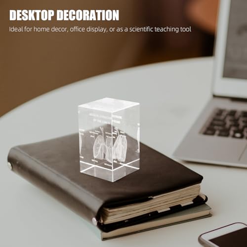 Modèle Anatomique Cœur Poumons Cube Cristal 3D pour Étude Médicale