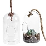 MyGift Set of 2 Clear Glass Cylindrical Succulent Plant Terrarium with Hanging Knot Rope