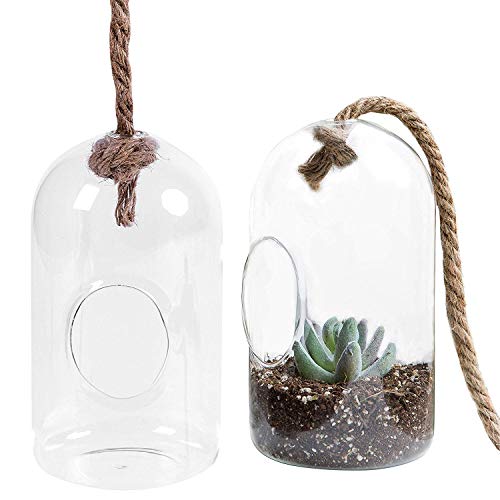 MyGift Hanging Planter Plant Terrarium, Clear Glass Cylindrical Succulent Holder with Top Knot Hanger Rope, Set of 2