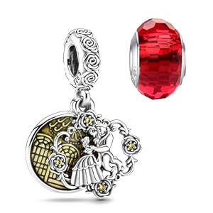 HappyStar Bead Charms para Charms Pulsera Collar Joyería Europea, Bead Charms para Mujer, Colgante Plata de Ley 925