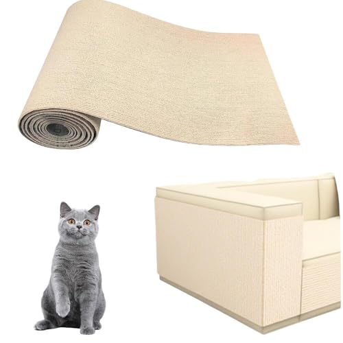 Lifetips ueBbVV[gwA British Shorthair L ܂Ƃh~V[g  ͂ OK ǎی  \t@ hA  Ƌ  h~ \邾 ȒP 唻 Jbg\ cS Ђ΍ یtB L