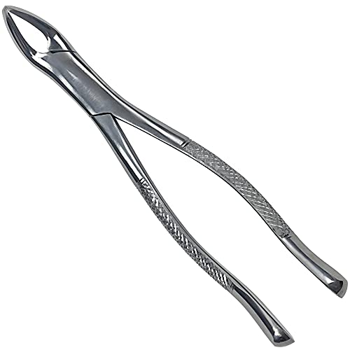 Dexa Dental Heavy Duty Dental Extracting Forceps # 151 Apical Forcep #TOP3