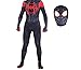 FILWY Superhero Costume Suit Spandex Jumpsuit Halloween Cosplay Bodysuit with 3D Style Mask Adult (L)