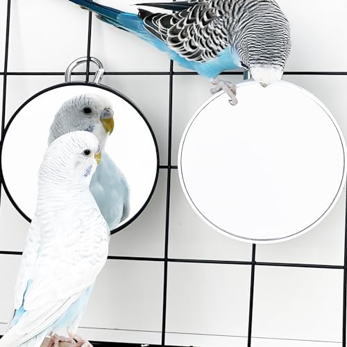 FlidRunest 2PCS Bird Mirror Toy for Cage, 10X Bird Parrot Interactive Playing Cage Toy with Hook, Parrot Toy Bird Cage Mirror for Cockatiel, Parakeets, Lovebirds, Finch, Canaries, Budgie