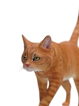 猫仮面① Amazon | HiPlay JXK 1/6 中華田園猫 動物 フィギュア 塗装済み