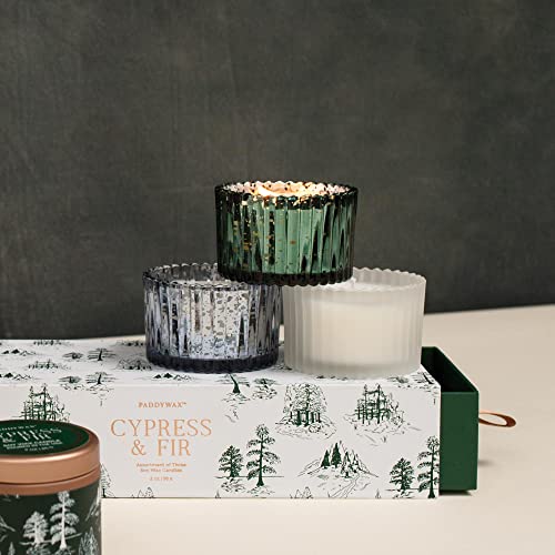 Paddywax Holiday Candles Cypress & Fir Frosted Glass 3-Wick Luxury Artisan Scented Candle, 425g, White