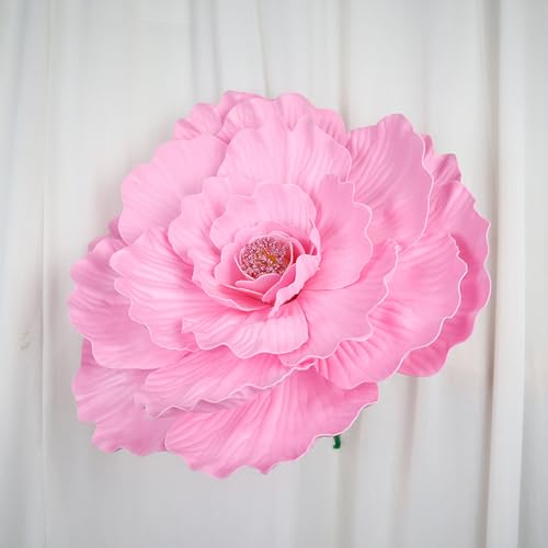 HGJH o ^   y[p[t[  Ԃт EGfBOu[P uC_ ꑕ 50cm X V[P[X fBXvC Ǝ{ tFCNt[  lHϗtA J[2