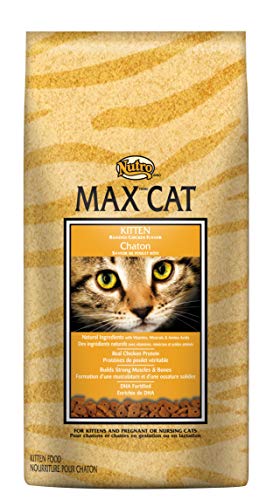 DISCONTINUED BY MANUFACTURER:NUTRO MAX CAT Kitten Roasted Chicken Flavor Dry Cat Food 3 Pounds