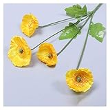 □ Langer Lebensdauer □: Langzeitlebensdauer, das Indoor-Display kann seit mehr als zwei Jahren verwendet werden.Einfach zu kümmern, einzigartige staubdichte und selbstreinigende Eigenschaften und können gewaschen werden.Es ist praktischer und wertvoller als gewöhnliche Blumen und künstliche Blumen.