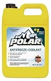 Prime Automotive Warehouse 10 1 gal Polar Full Strength Green Antifreeze - Pack of 66