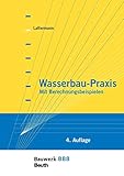  Wasserbau-Praxis: Mit Berechnungsbeispielen Bauwerk-Basis-Bibliothek