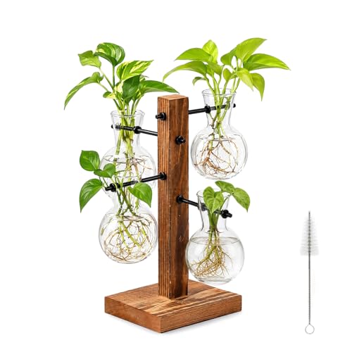 2Pcs Plant Propagation Station Vintage Acorn Glass Vase with Wooden Stand