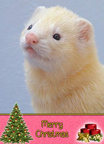 Ferret Christmas Card 'Merry Christmas' - Special Xmas Card for Him Her Kids Male Female