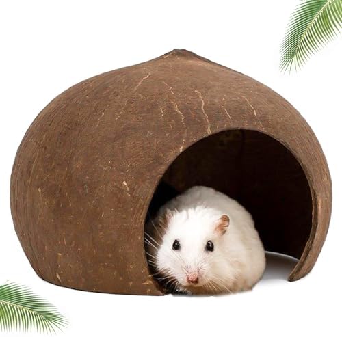 DXQCHDUO Hamster House Coconut Hut,Coconut Shell Hideouts House,Bird ...