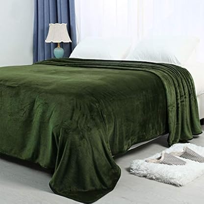 PiccoCasa Kuscheldecke Tagesdecke Fleecedecke mit Rand Microfaser Decke Weiche Warme Leichte Decke 330GSM für Bett Sofa usw. Grün 230x275cm – Bild 3
