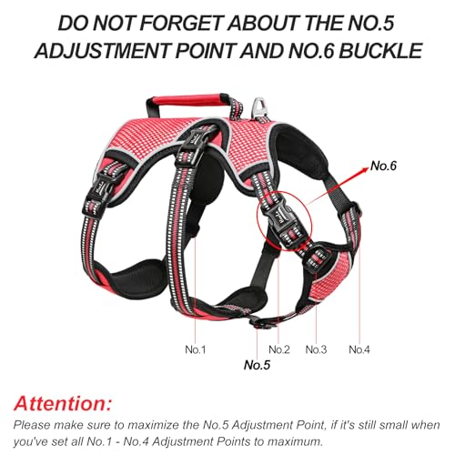 Image of HEELE Dog Harness, Escape Proof Dog Harness, Release on Neck, No Pull Reflective Adjustable Vest with Durable Handle, Dog Harness for Outdoor Training Walking, Dog Harness for Medium /Active Dogs, M