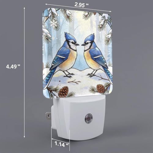 Image of Winter Hummingbirds Blue LED Plug-in Night Light 2 Pack, Nightlights Set of 2 for Bedroom Bathroom Stairs