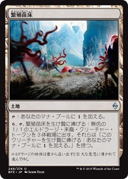 Amazon.co.jp: マジックザギャザリング MTG 土地 日本語版 繁殖