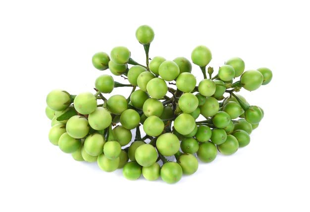 Fresh Turkey Berry 200g / Fresho Pea Eggplant / Sundaikai / ಕುದನೆಕಾಯಿ / சுண்டைக்காய் / ചുണ്ട by Amirtham Organic Foods