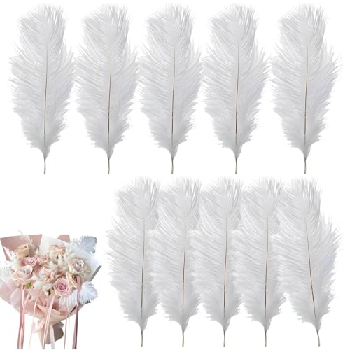 10 Pcs Ostrich Feathers 20-25cm Large Fluffy Feather Natural White Feathers for Crafting Christmas Tree Feather Decorations for Wedding Office Bedroom Living Room