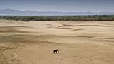 sambia safari tour packages  Die Dürre droht